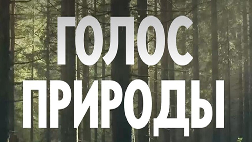 Эко-медиа_29: «Голос природы Сургута»